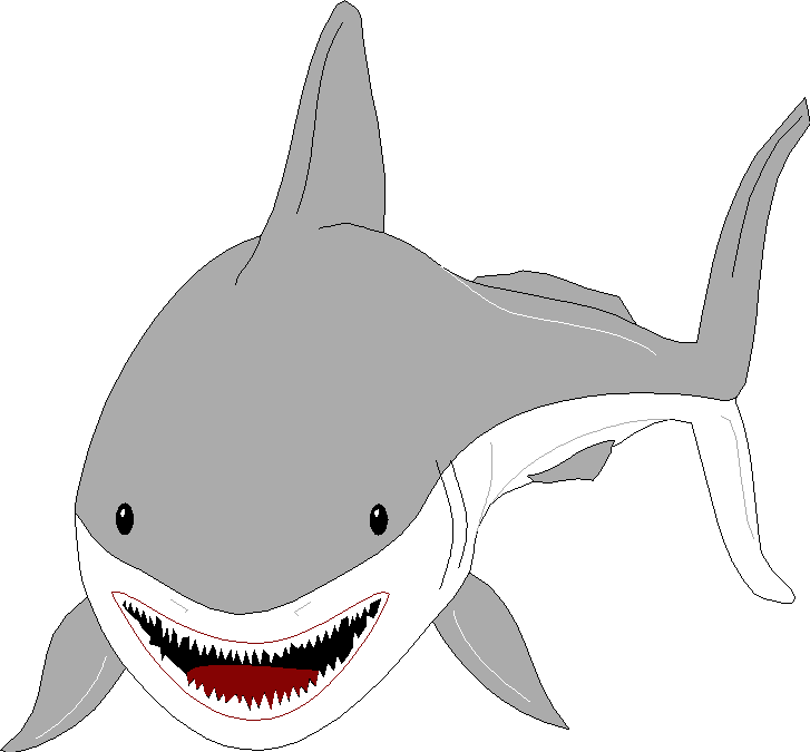 Shark 04.png